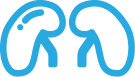 kidney